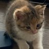 mimi profil fotoğrafı