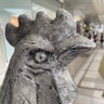 こま profil fotoğrafı