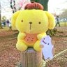メイメイ 的头像