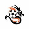 FPL_Dragon profil fotoğrafı