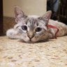 Pandi's profile picture