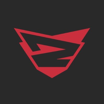 RebelsGamingCS2's profile picture