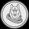 ذيب الجبل's profile picture
