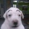 UnPerfil's profile picture