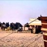 Profilbild von حصه بنت الباديه🐪