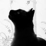 保 田 profil fotoğrafı