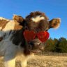 Slunch's profile picture