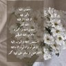 نور profil fotoğrafı