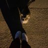 Profilbild von D
