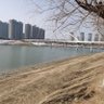 Фото профиля zhu