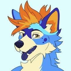 ArminTheHusky's profile picture