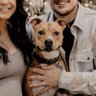 Reece's profile picture