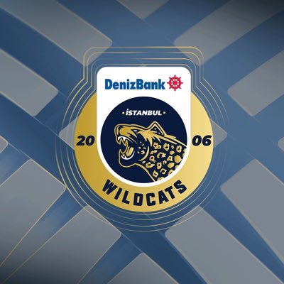 DenizBank İstanbul Wildcats's profile picture