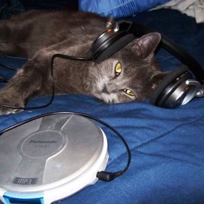 gummyberrybear's profile picture