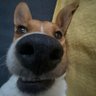 MarcelMedia's profile picture