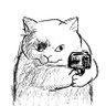Daniel Paraico's profile picture