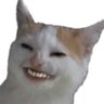 chilerojo's profile picture