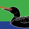 Laser Loon 🌠's profile picture