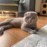 M.Can's profile picture