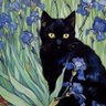 @witchercat25285's profile picture