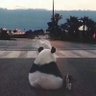 经常晚睡 profil fotoğrafı