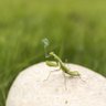 Chris Trex's profile picture
