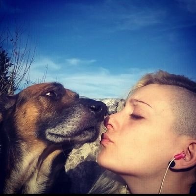 Noe's profile picture