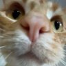 Profilbild von Bailey