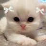 Year of the year💘😽 profil fotoğrafı