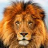 yishaqh profil fotoğrafı