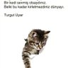 Фото профиля gönül doğu