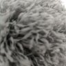 APAN's profile picture