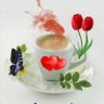 Profilbild von bhagyashree 19