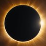 ScienceSeeker's profile picture