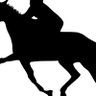 Profilbild von On the Bridle Racing