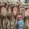 GhafaR Sumalani profil fotoğrafı