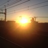 カゴメ8282's profile picture