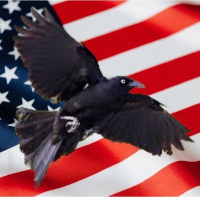 Willy Alvarado 🇺🇸#PR51 52 🇺🇸🇵🇷🇺🇸 #2A #NRA's profile picture