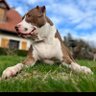 thalie's profile picture