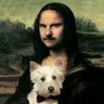 Sir Chris P Pancake profil fotoğrafı
