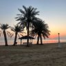 عبدالرحمن الغصاص 的头像