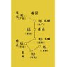金手指 profil fotoğrafı