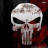 Фото профиля the punisher23