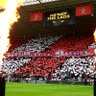 safctaylor 的头像