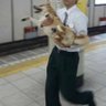 限りなく透明に近い柴 profil fotoğrafı