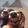 Clxzz profil fotoğrafı
