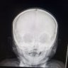 Pocholo's profile picture