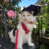 きなこ 的头像