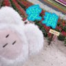 愛璃︎✿Salvia 🦊🐾 ❥・・➳𖣠 的头像