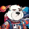 🌠🐻‍❄️'s profile picture